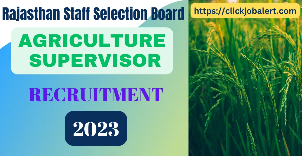 RSMSSB Agriculture Supervisor Recruitment 2023